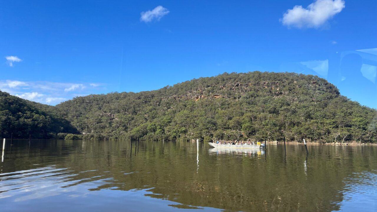 oyster leases on the Hawkesbury