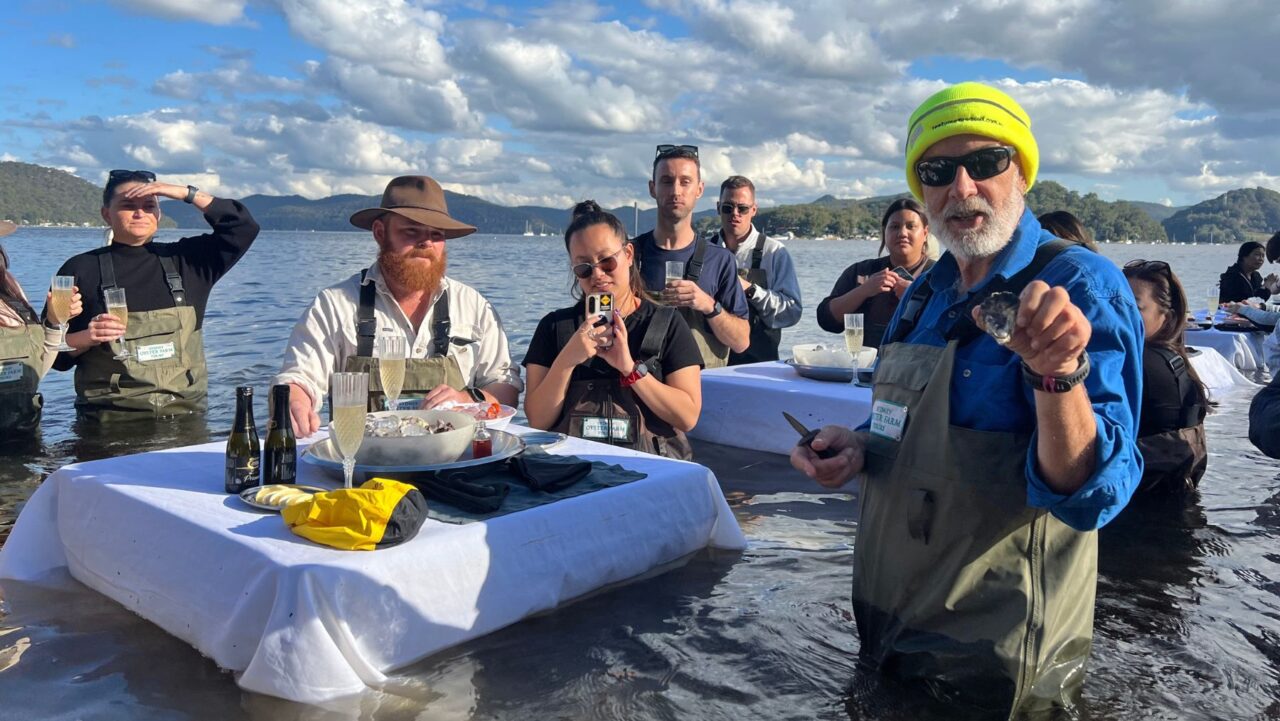 Sydney oyster farm shucking
