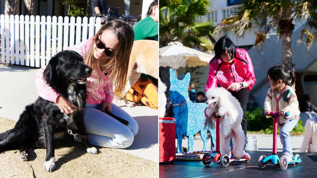 Bondi Festival paw parade