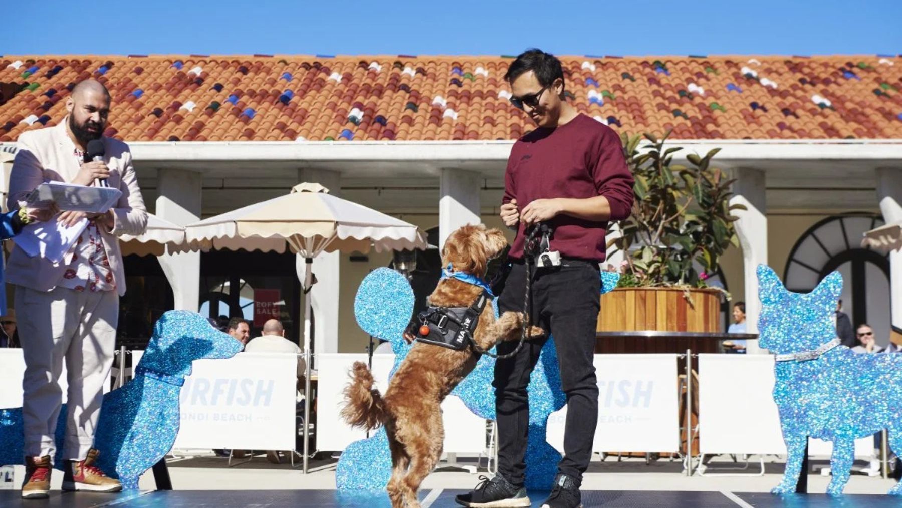 Bondi Pavilion Paw Parade