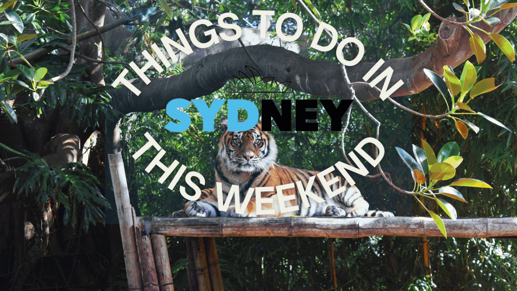 things to do this weekend in sydney