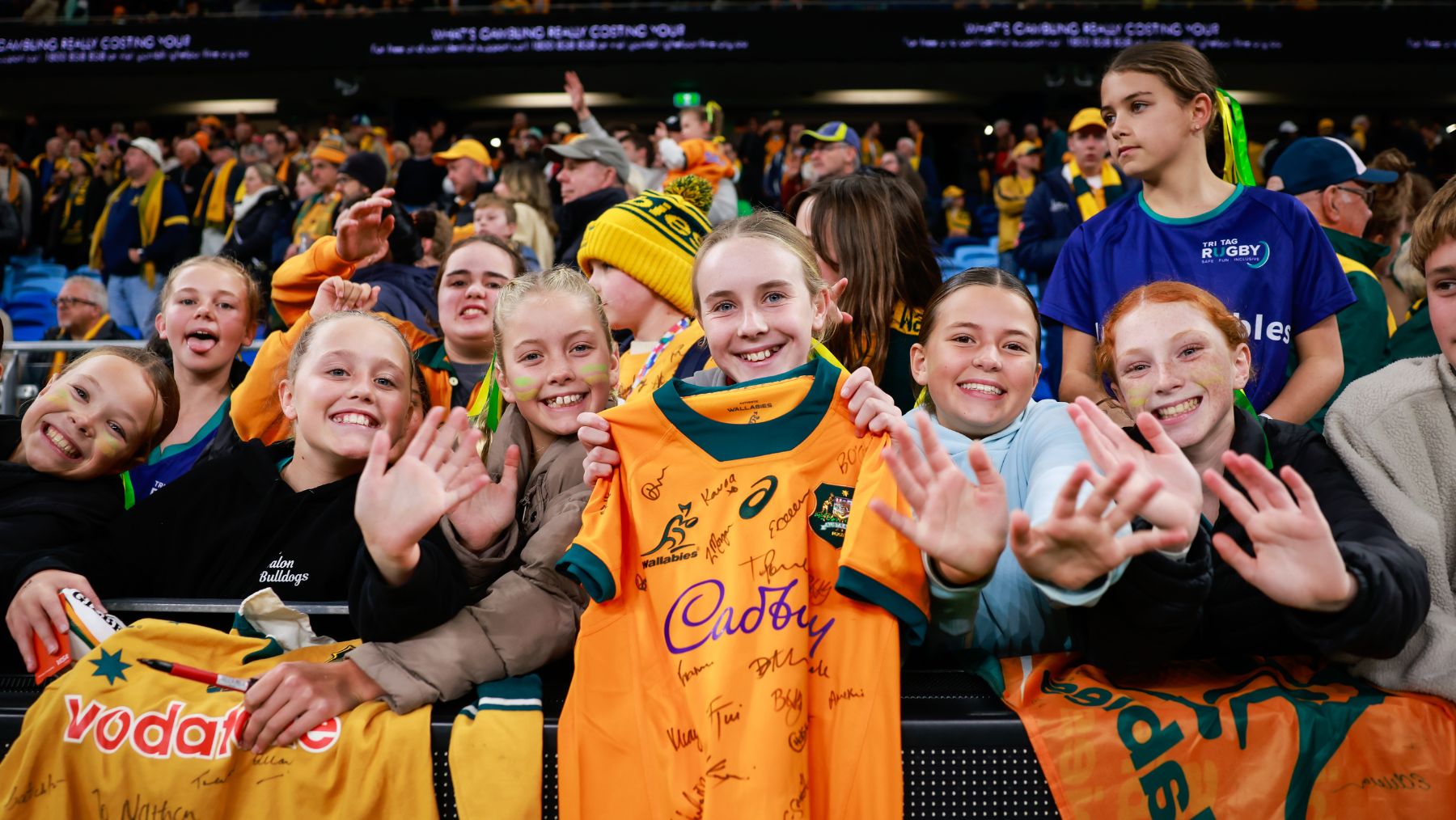 lions tour wallabies fans