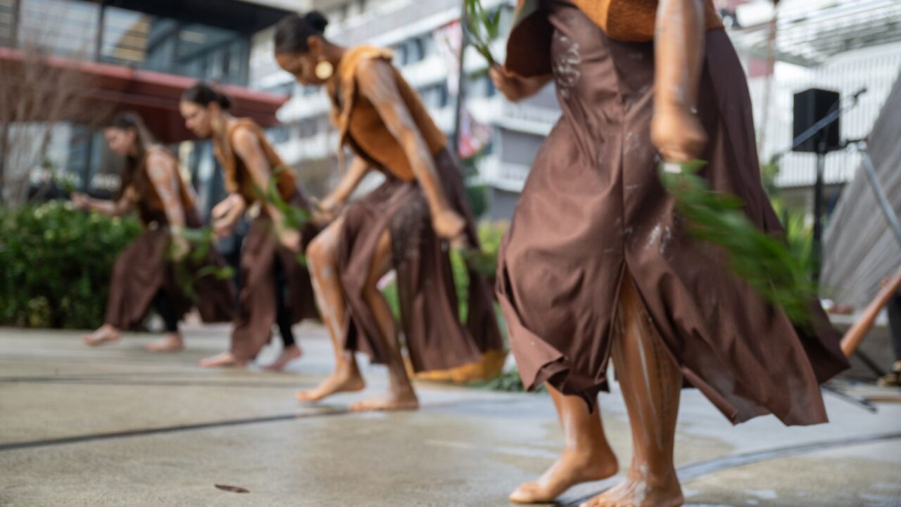 NAIDOC Week celebrations