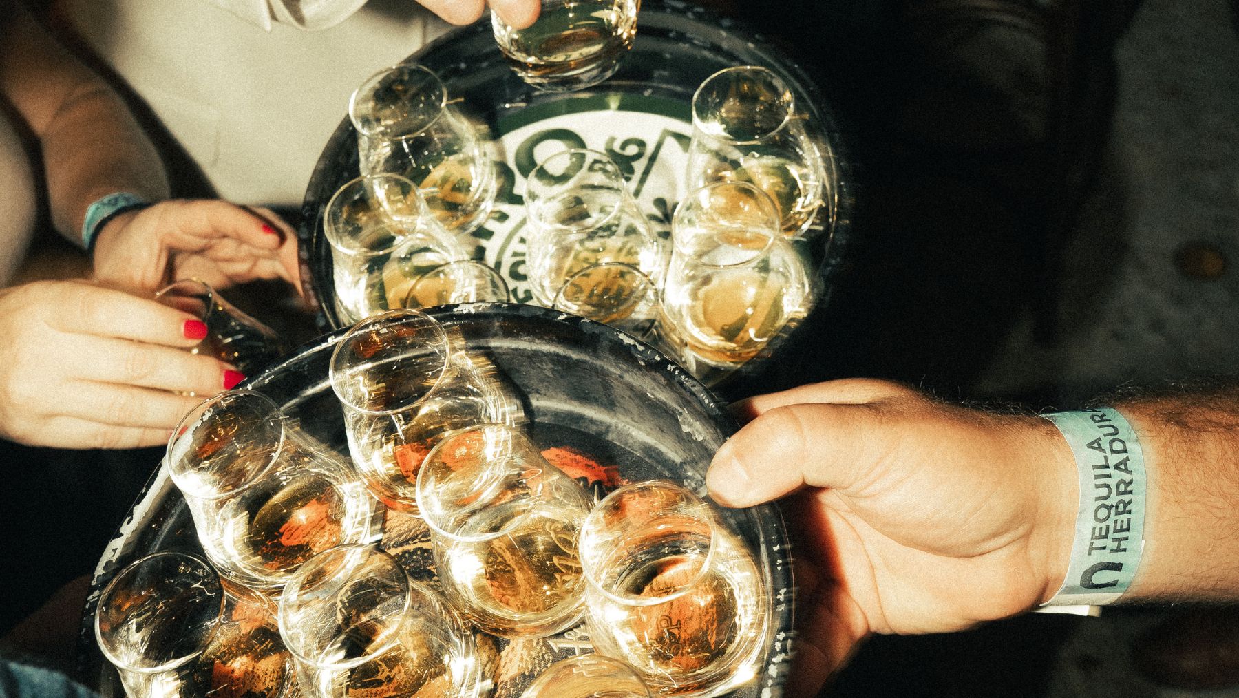 World Tequila Day Tequila trail sydney