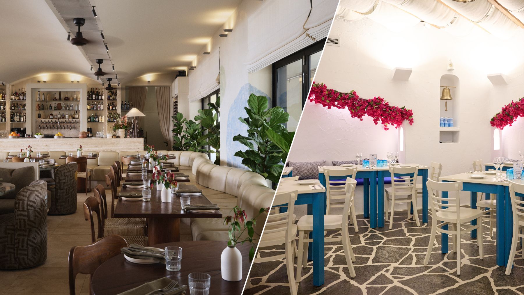 Etheus and Kazzi Beach Greek are two new Bondi Greek restaurants