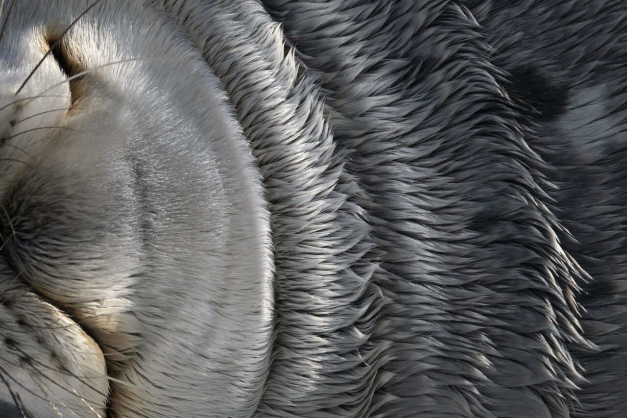 Ocean Photographer of the Year 2025 Fine Art finalist Scott Portelli