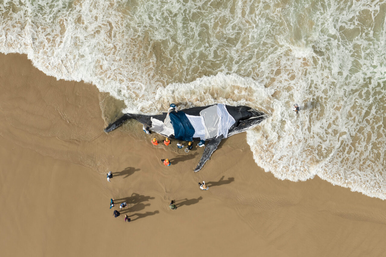 Ocean Photographer of the Year 2025 Human Connection Award finalist: Craig Parry