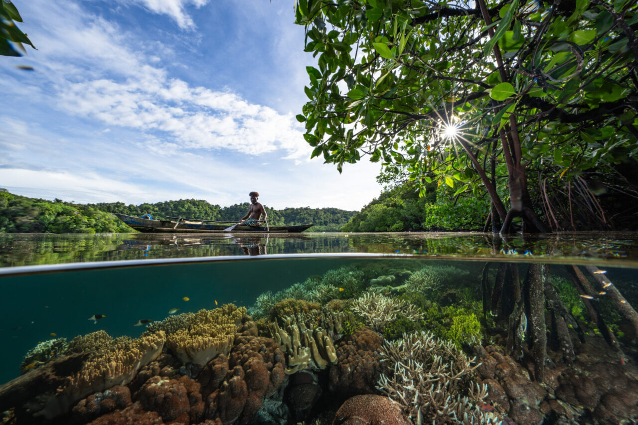 Ocean Photographer of the Year 2025 finalist Wendy Mitchell