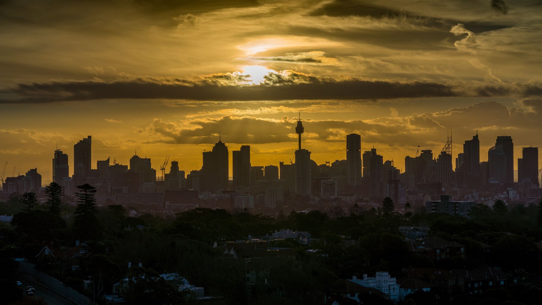 sydney at night