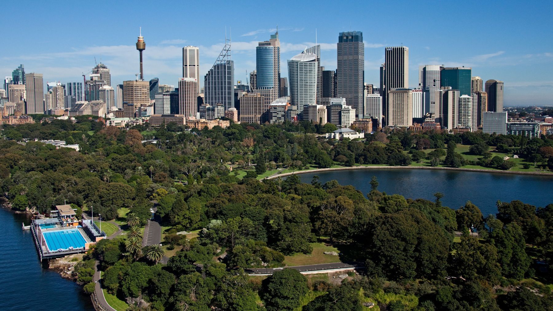 Andrew (Boy) Charlton Pool, Royal Botanic Garden and Sydney skyline