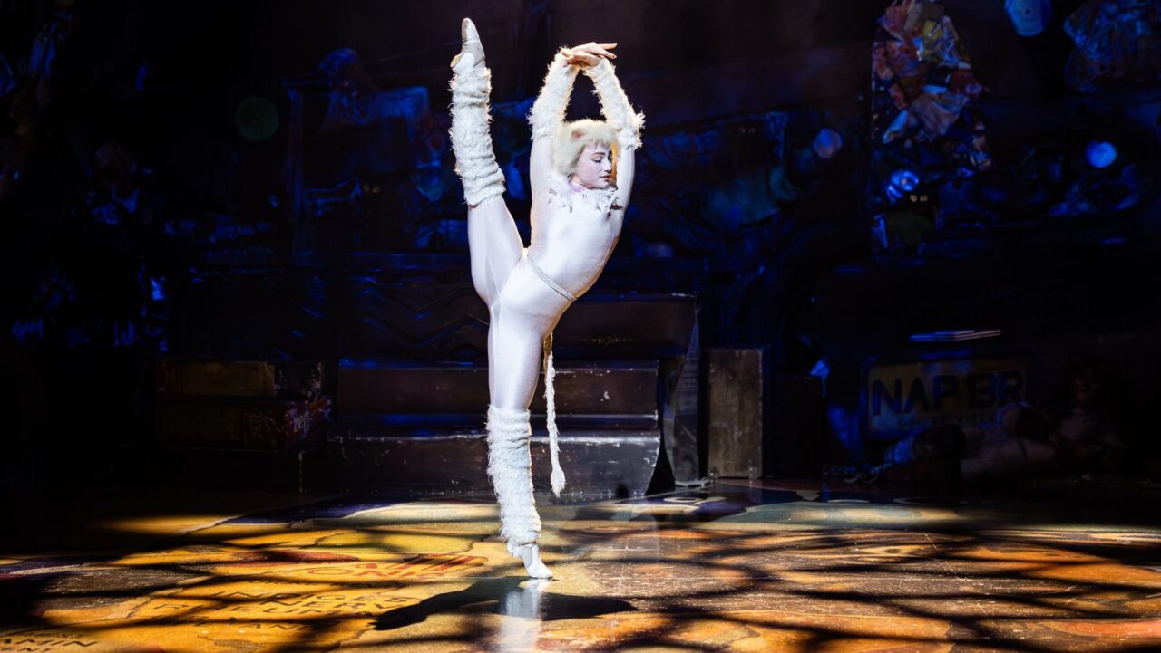 cats the musical