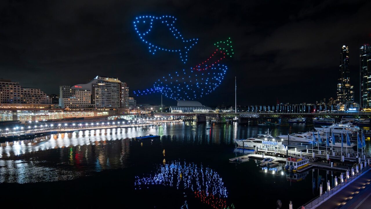 Darling Harbour Drones Fish