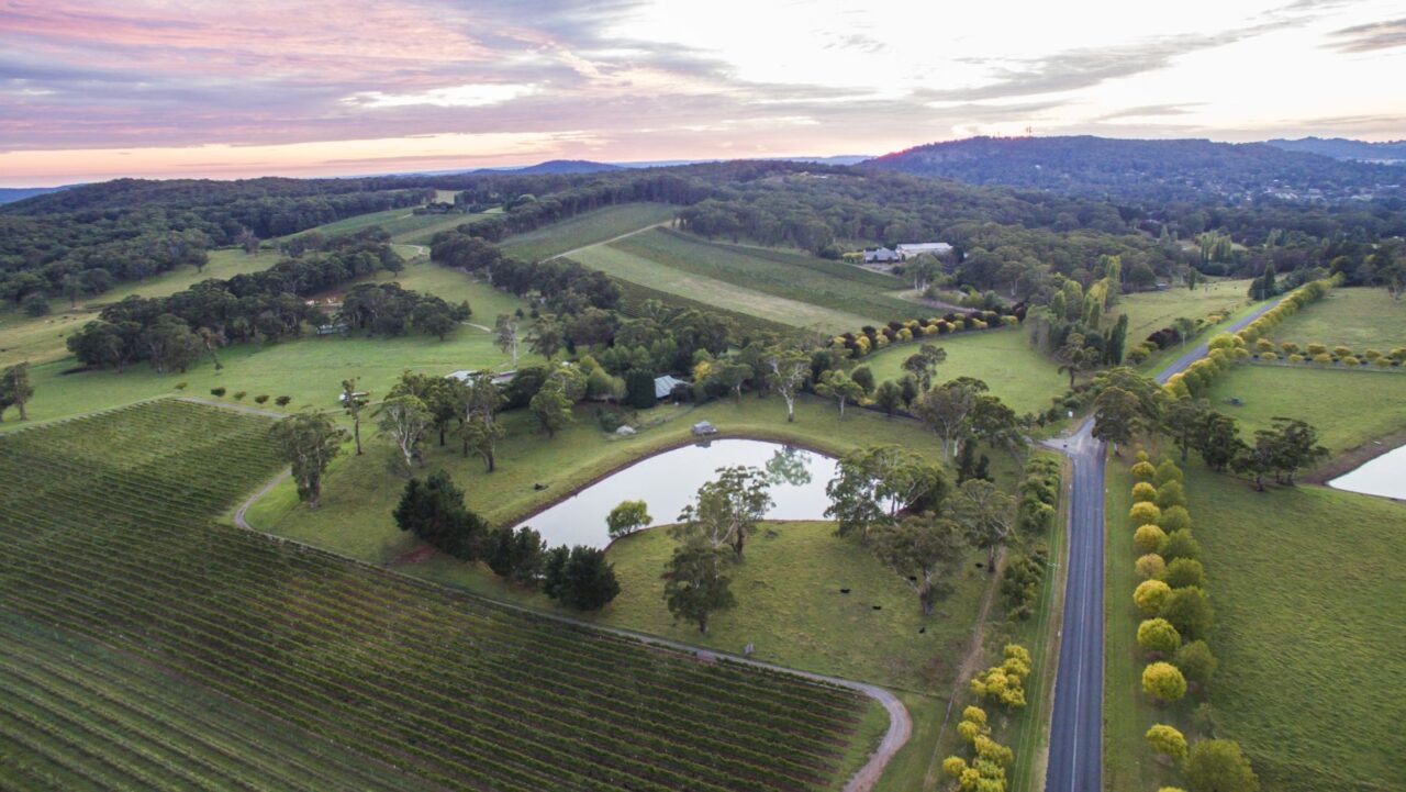 Centennial Vineyards in Bowral will host Horizontal Festival