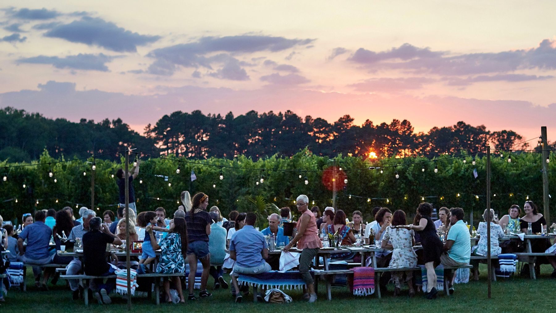 Bowral is calling – here are two festivals worth the trip to the Southern Highlands