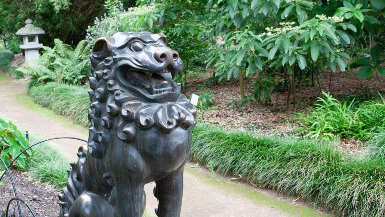 Oriental Garden Royal Botanic Gardens
