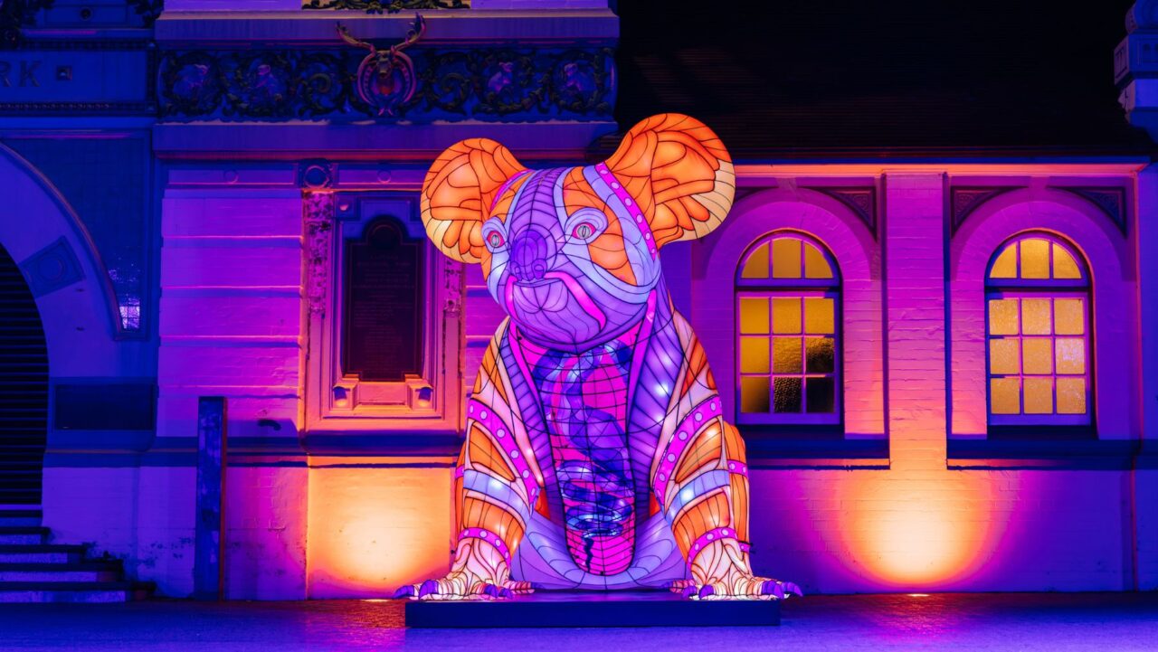 Taronga After Dark