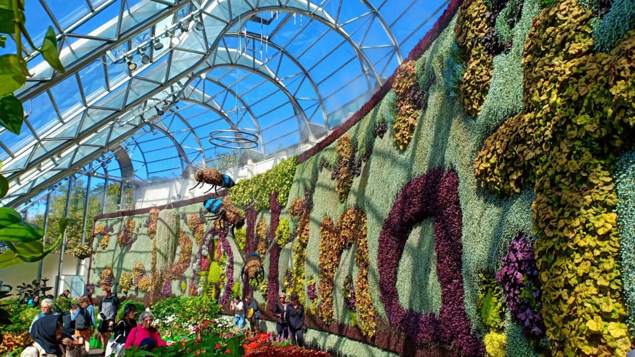 The Calyx Alchemy of a Rainforest