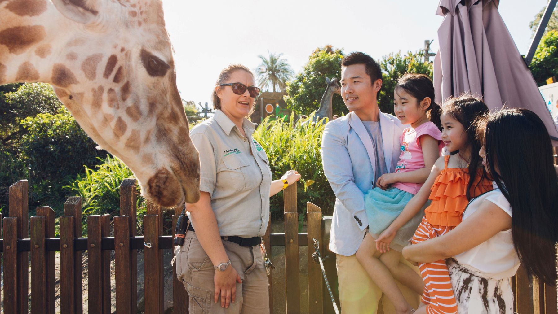 Things to do in Sydney for Father's Day