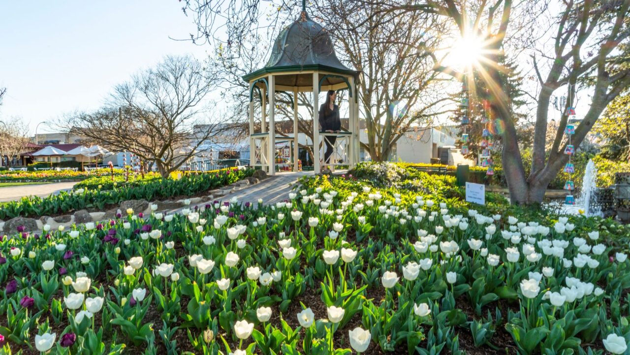 Tulip Time Festival Bowral