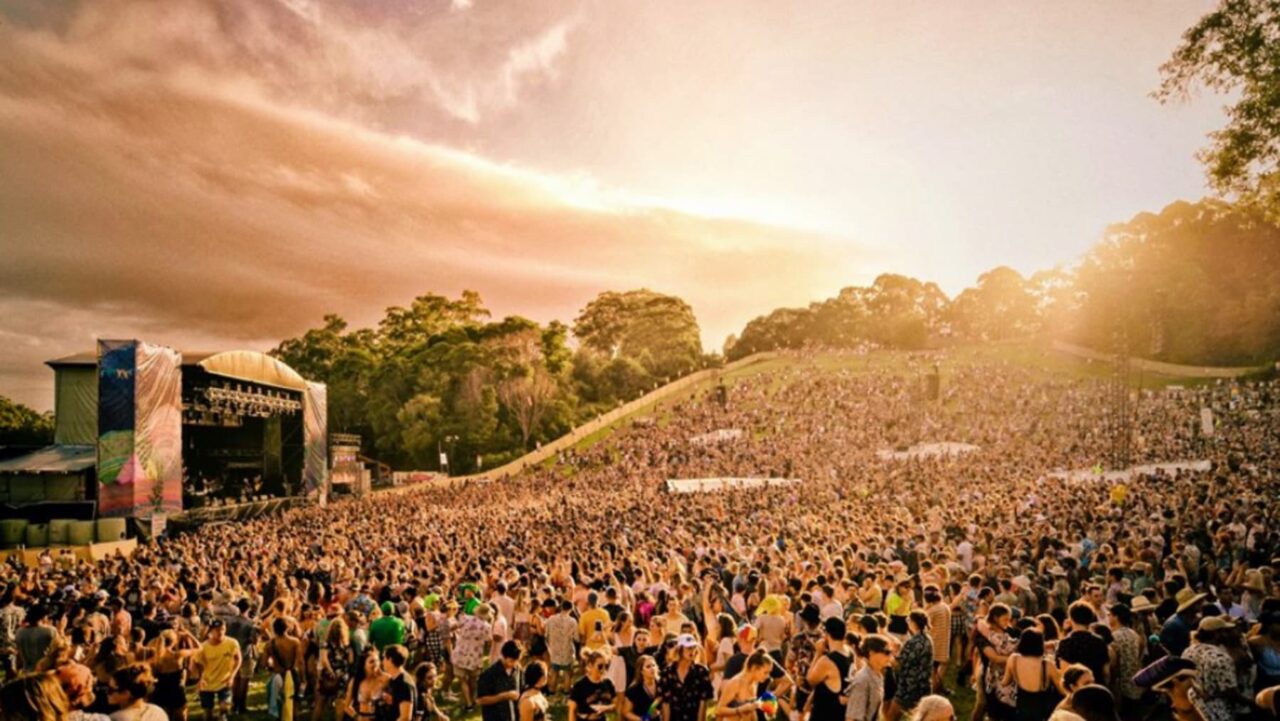 splendour in the grass photo