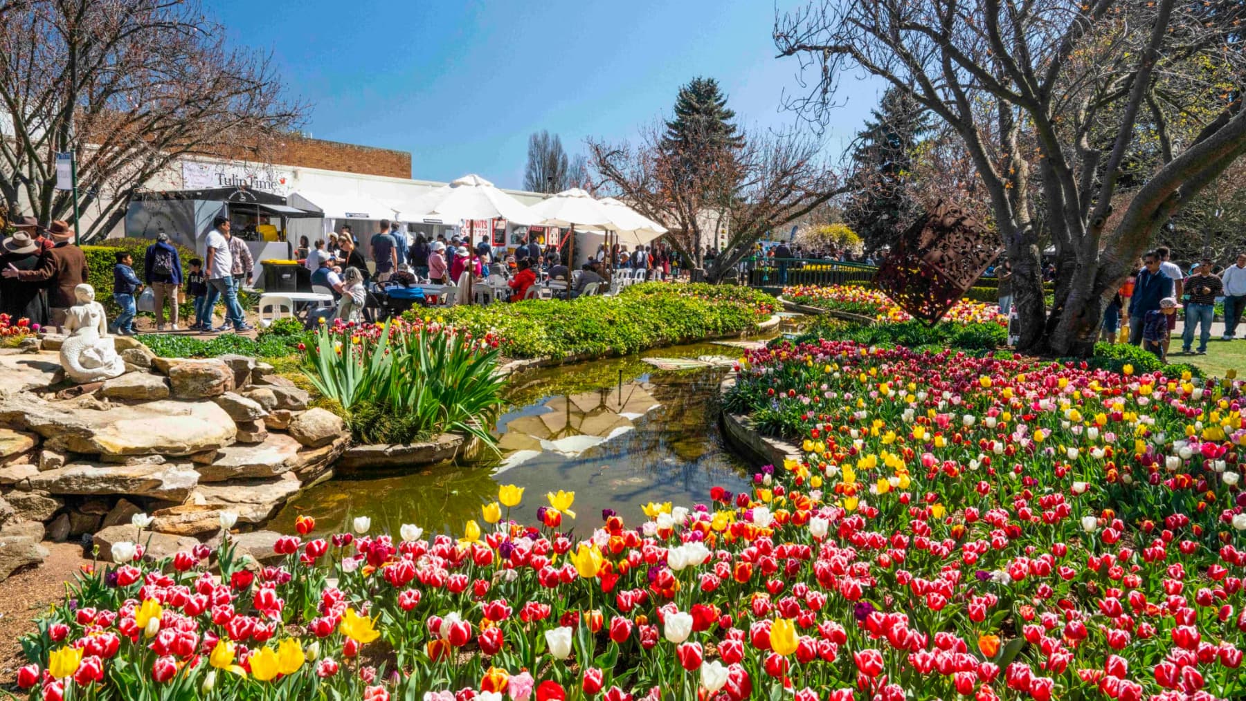 Tulip Time Festival