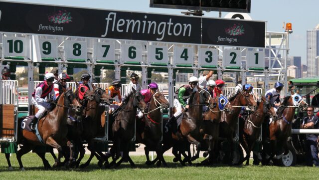 Melbourne Cup Horse Racing