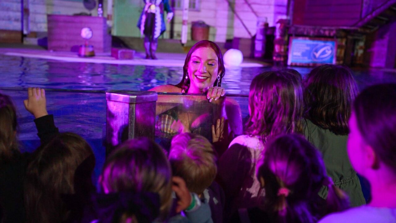 Mermaid Show Taronga Zoo