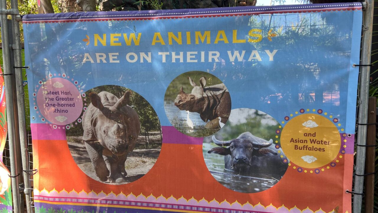 New Animals Taronga