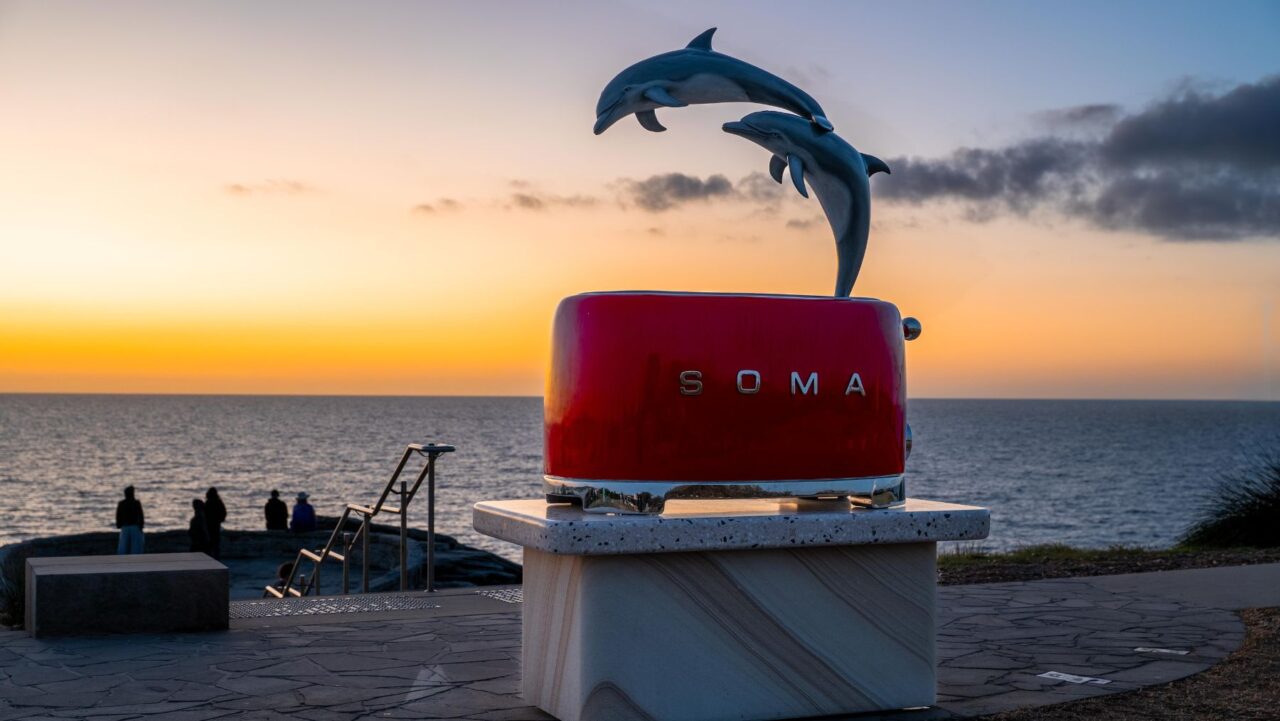 SOMA Dolphin