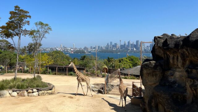 Taronga Zoo Sydney