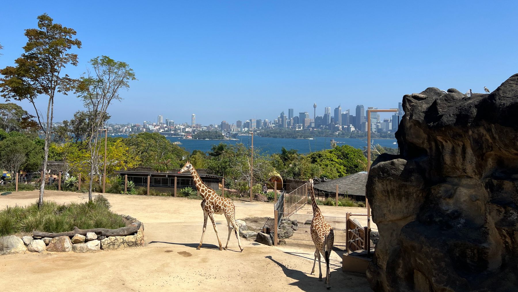 Taronga Zoo Sydney