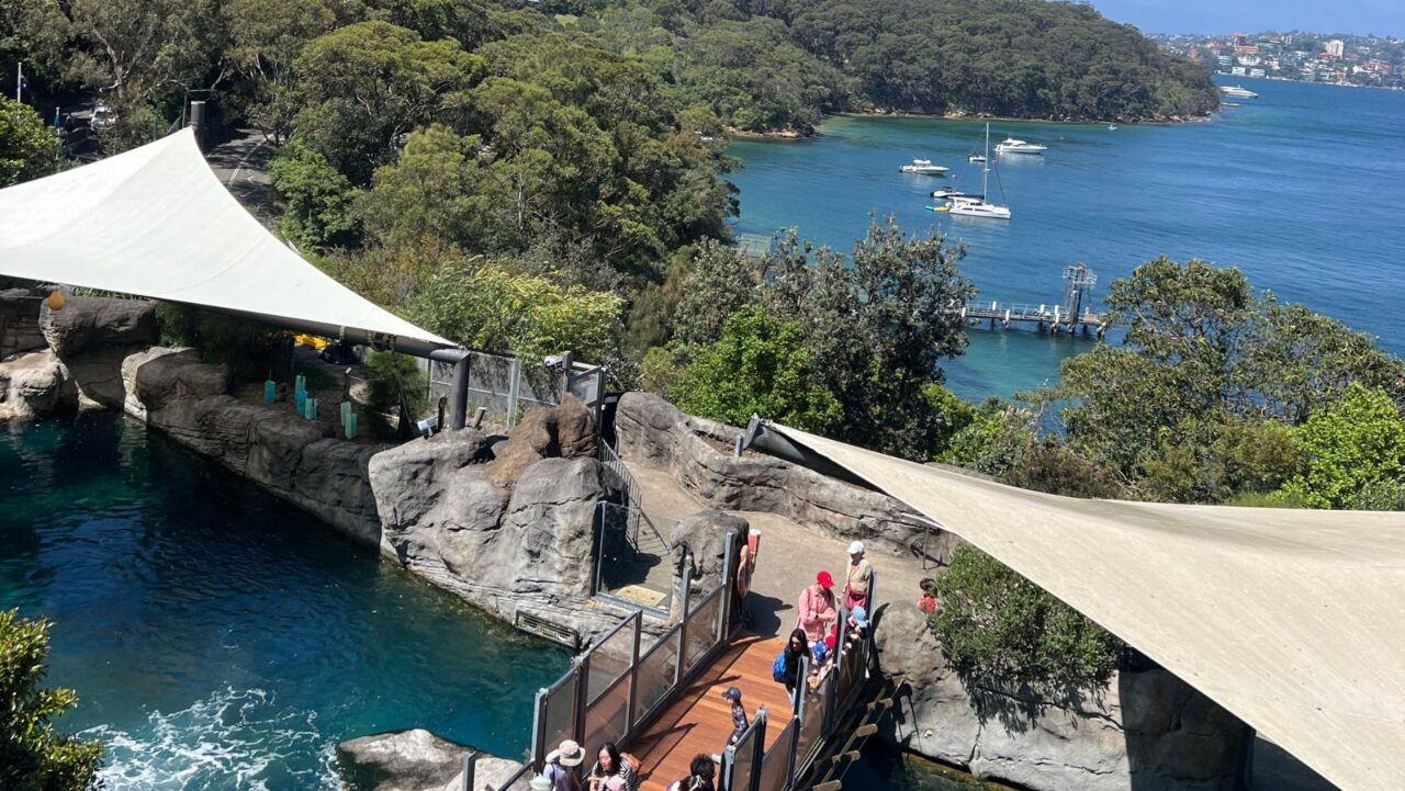 Taronga Zoo View