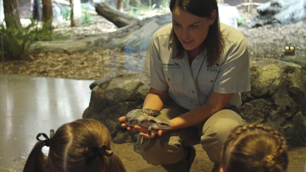 Taronga Zoo Zookeeper for a Day