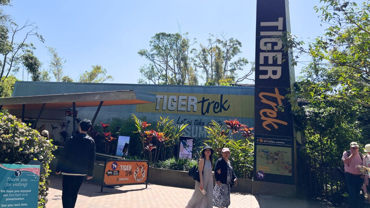 Tiger Trek at Taronga Zoo