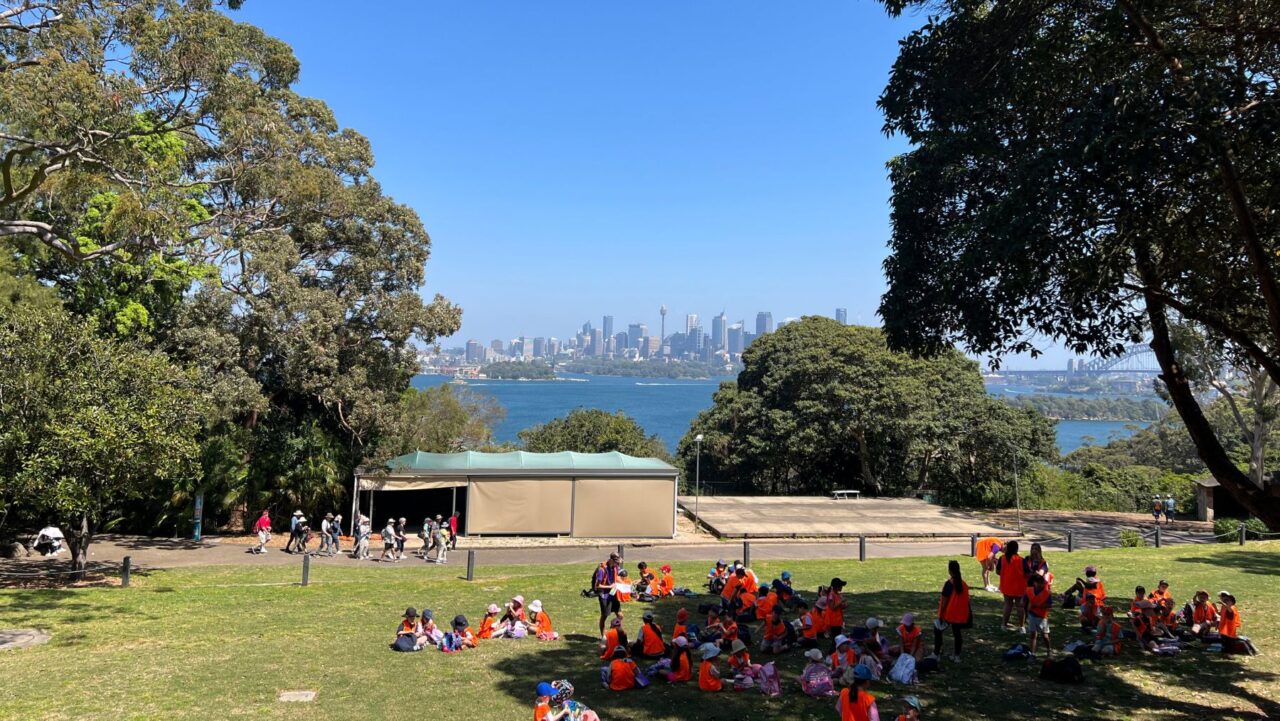 Twilight at Taronga