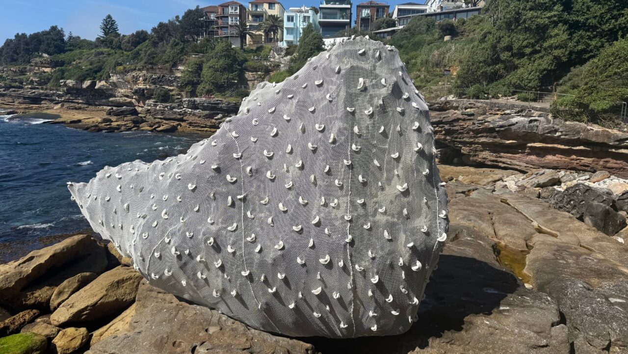 sculpturebythesea net