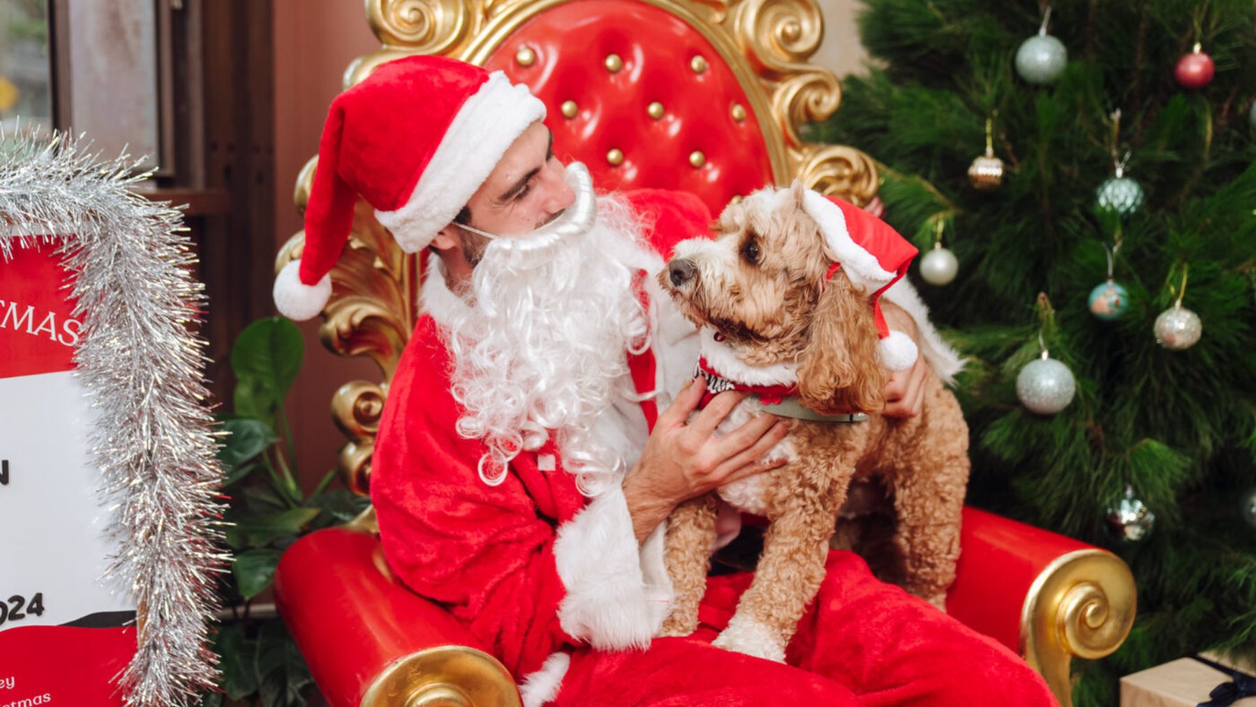 Christmas at Forresters