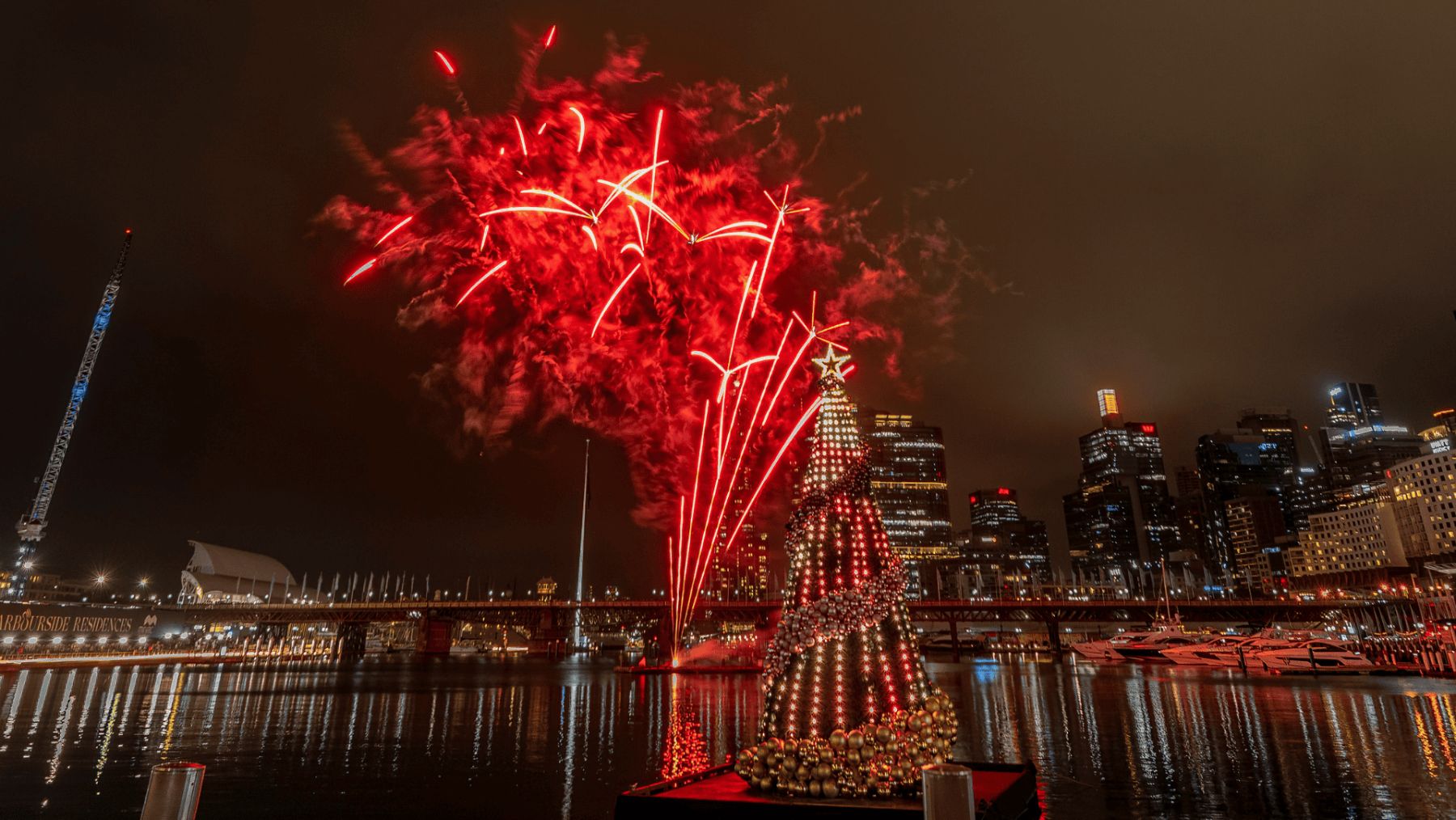 Cockle Bay Christmas Spectacular
