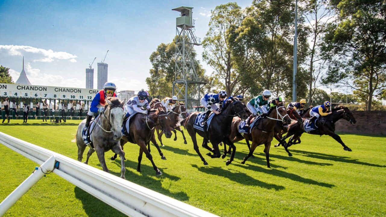 Five Diamonds Ladies Day