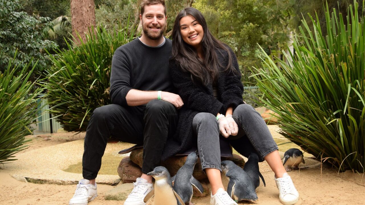 Hand feeding the penguins is a highlight at Featherdale Sydney Wildlife Park
