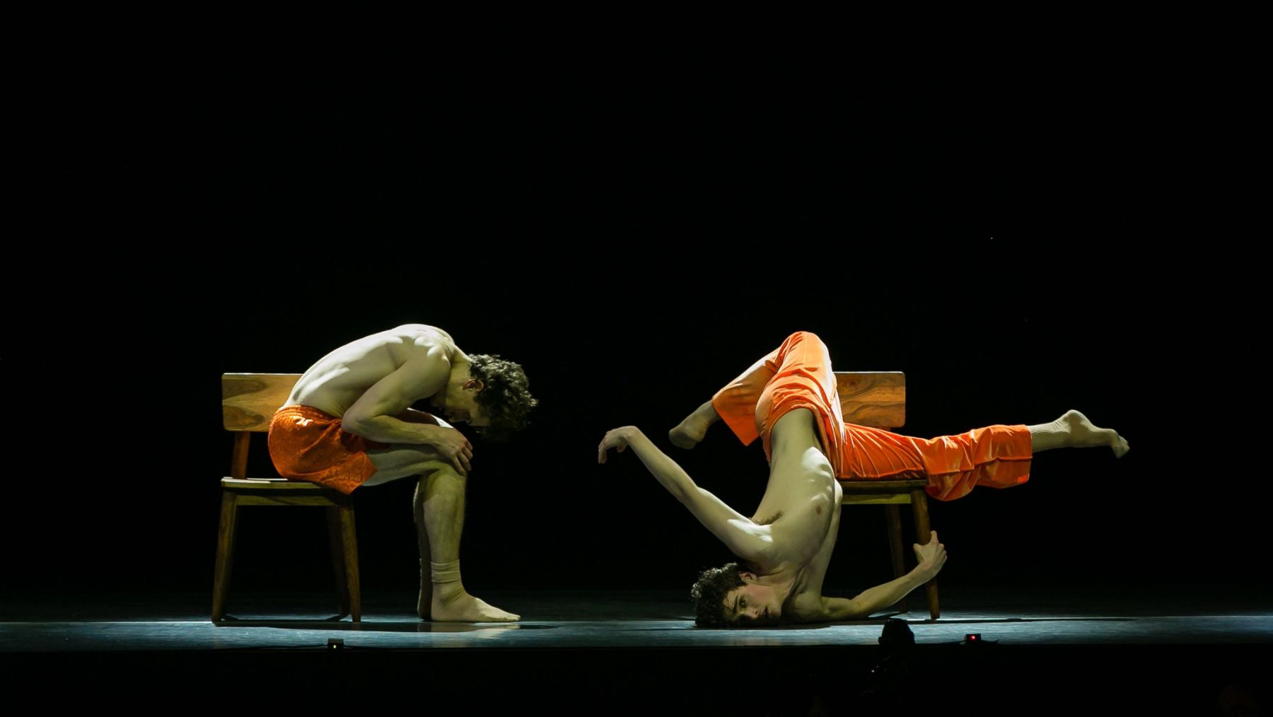 Stephanie Lake Seven Days