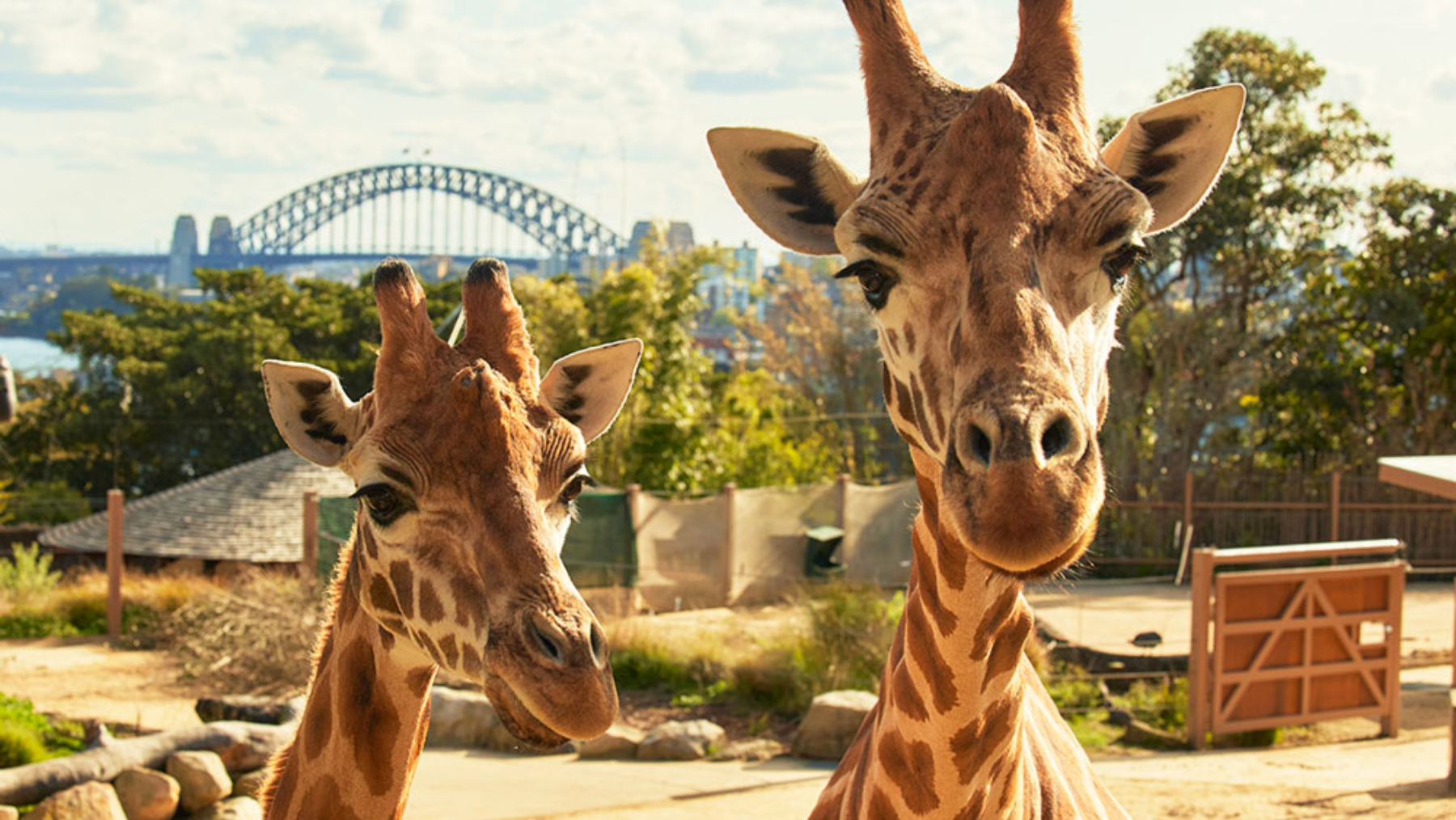 Taronga Zoo