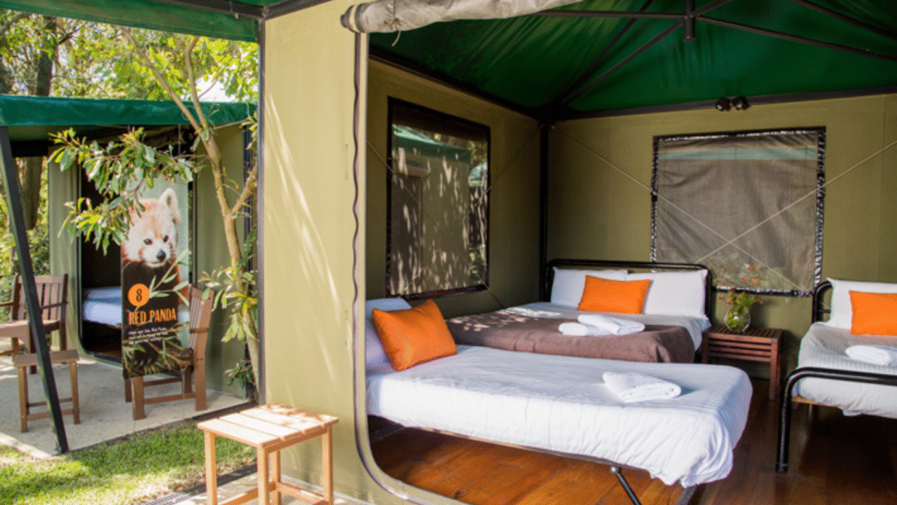 Untitled design 74 1