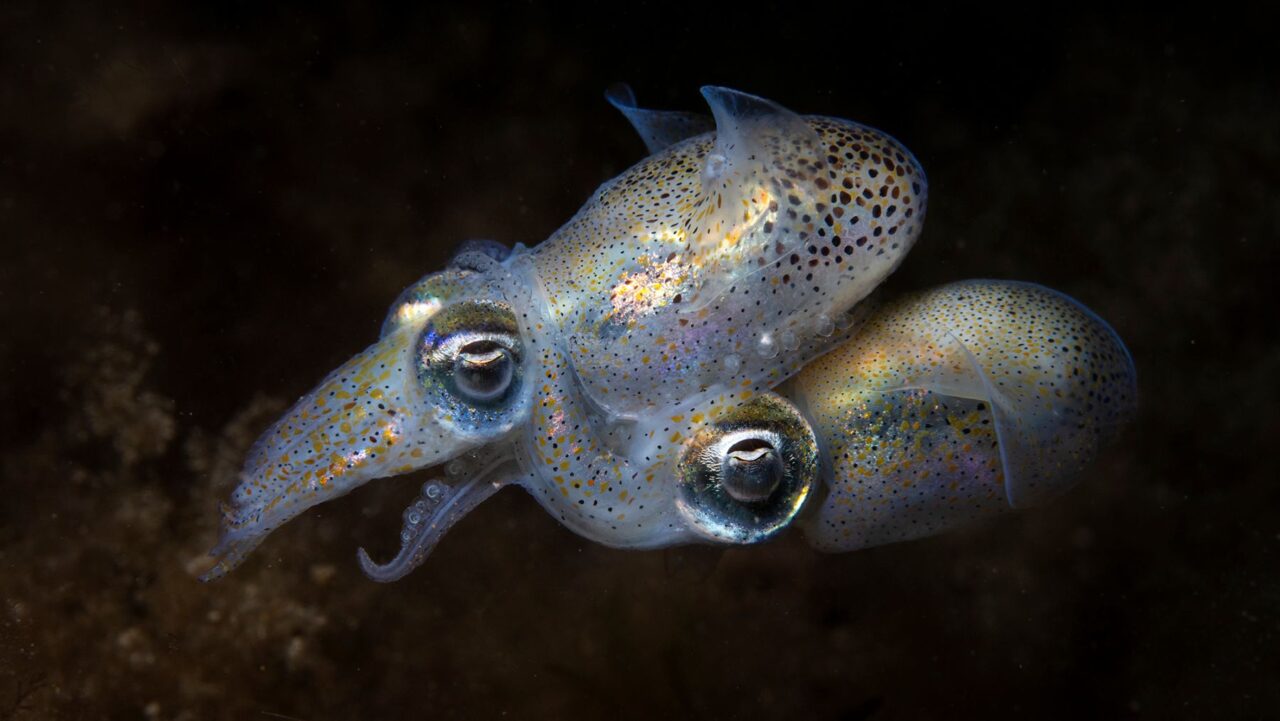 Young Photographer of the Year Winner Aaron Sanders