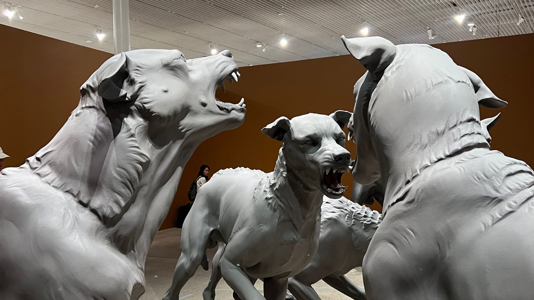 Havoc from another perspective