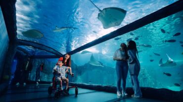 See breathtaking marine life at Merlin Sealife