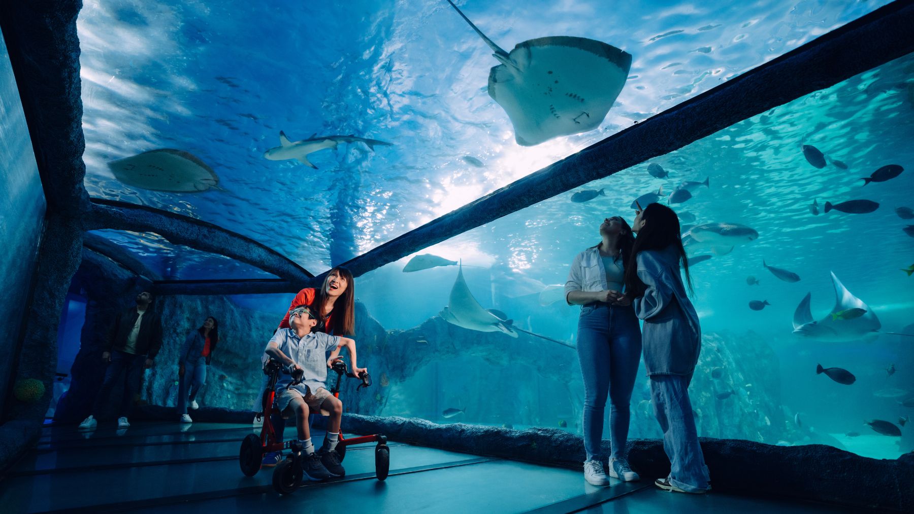 See breathtaking marine life at Merlin Sealife