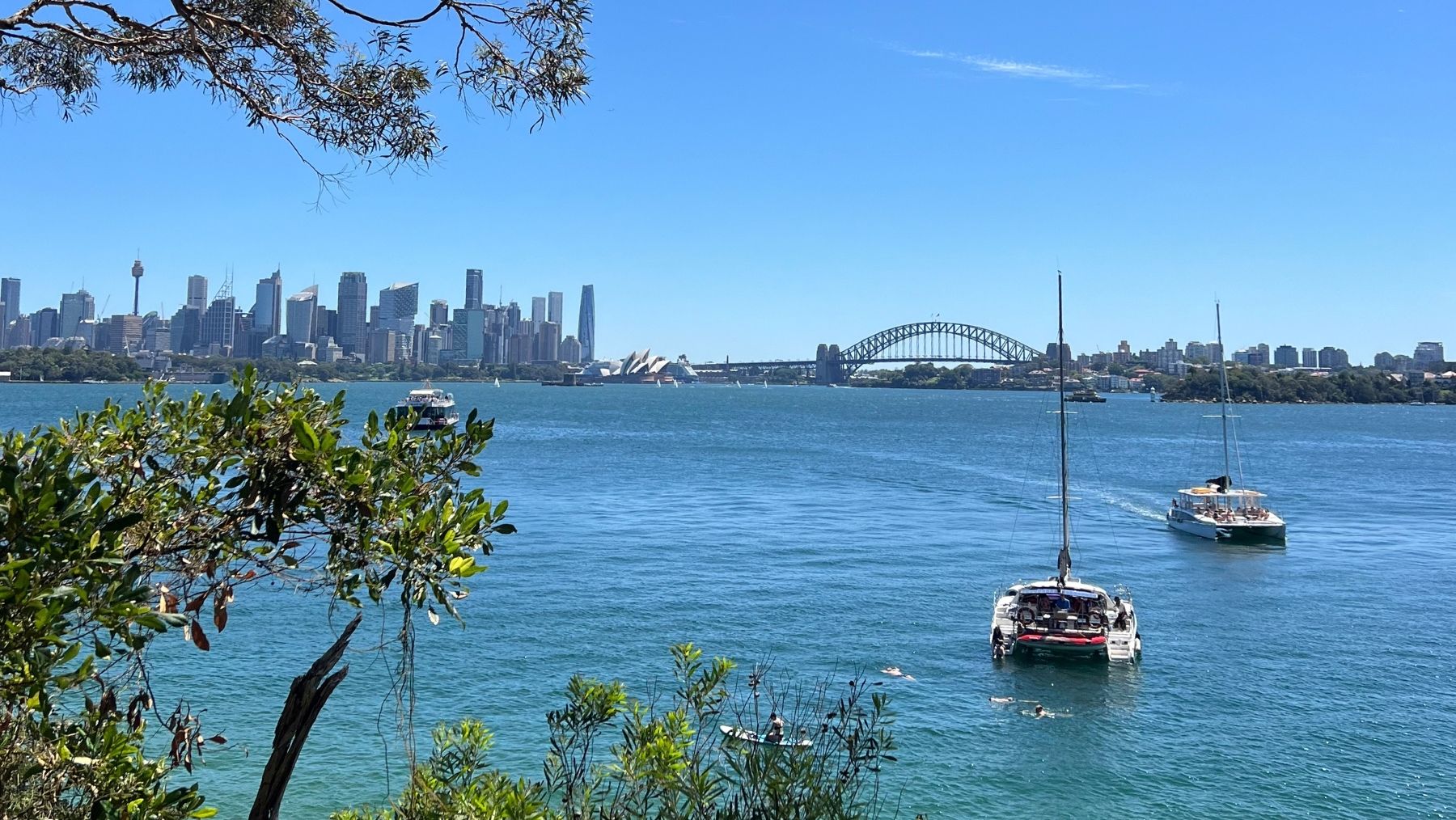 View from Bradley's Head Walking Track