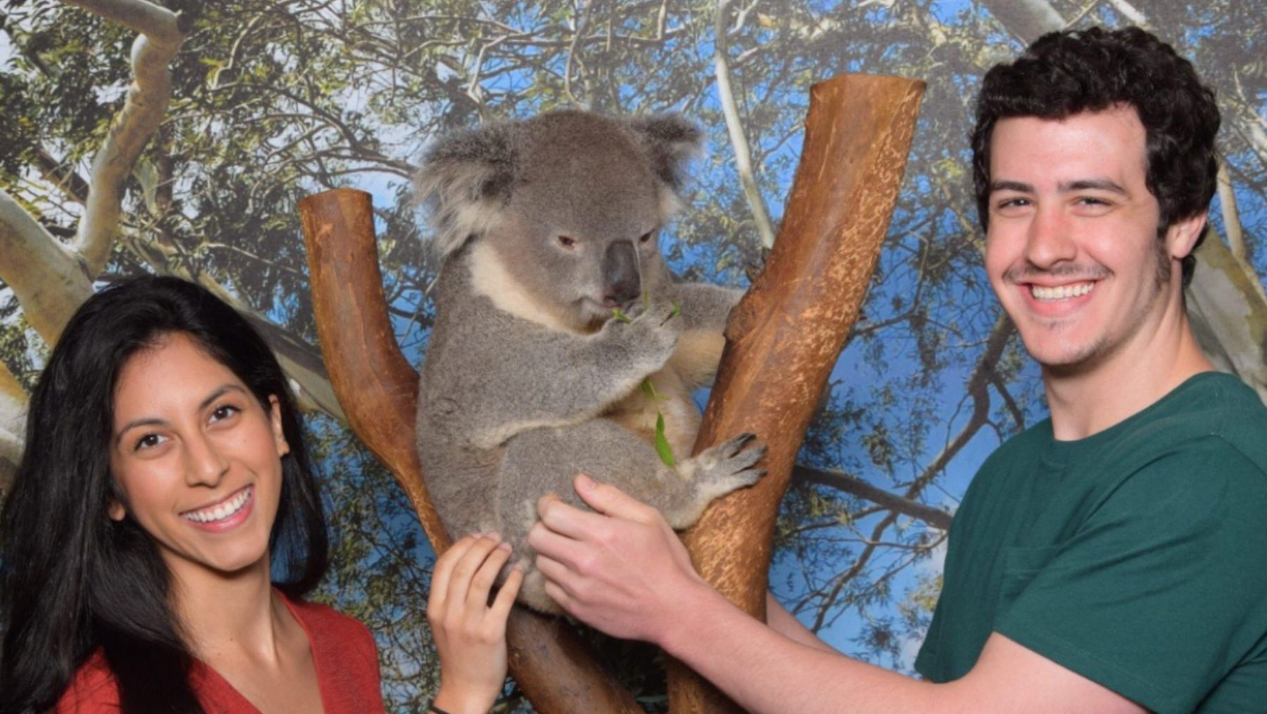 A couple at Featherdale Wildlife Park