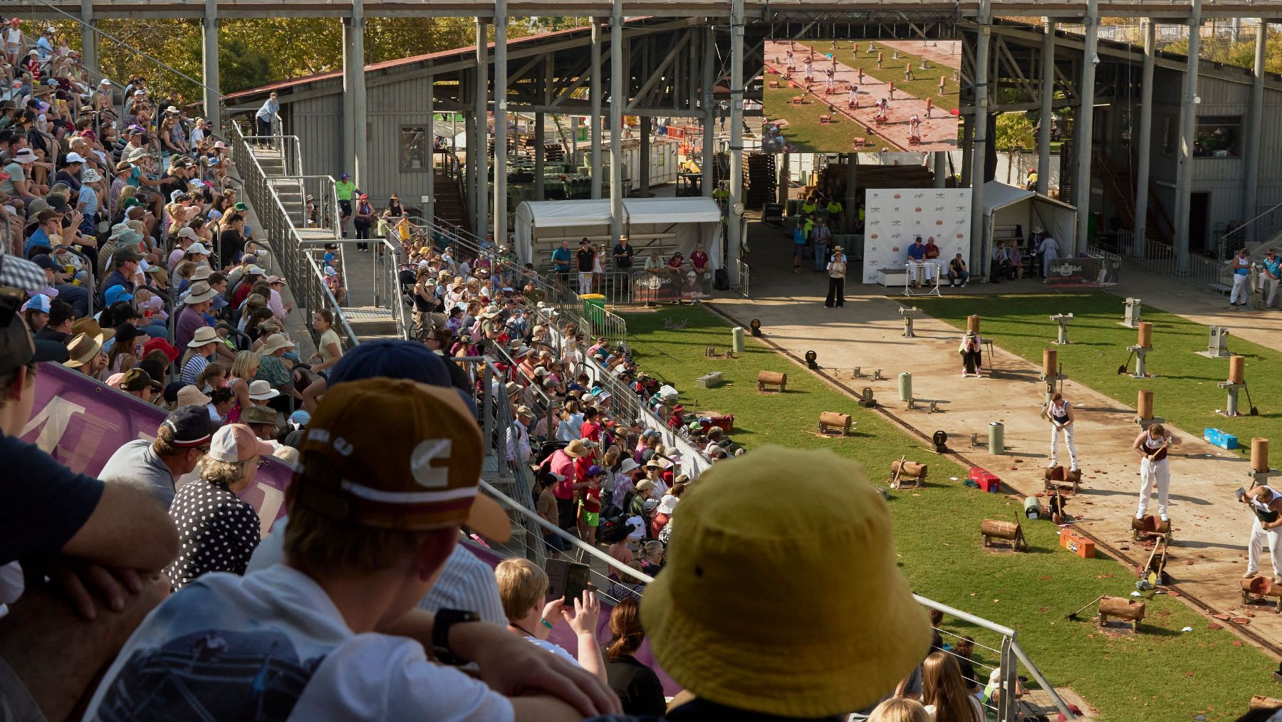 Wood chopping Easter Show